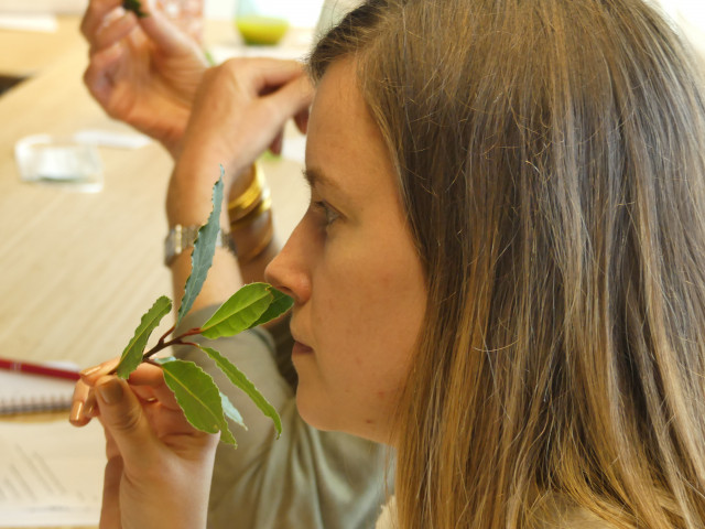 Image : Phytothérapie