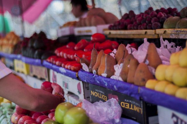 Image : Atelier culinaire : Les produits de saison